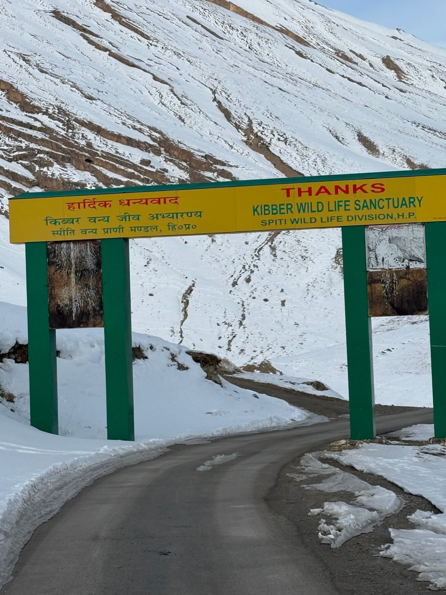 Thanks — Kibber Wildlife Sanctuary